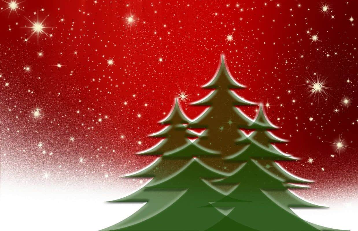 christmas tree 66450 1280