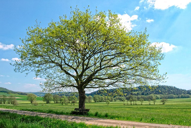 Monatsrückblick 05/21