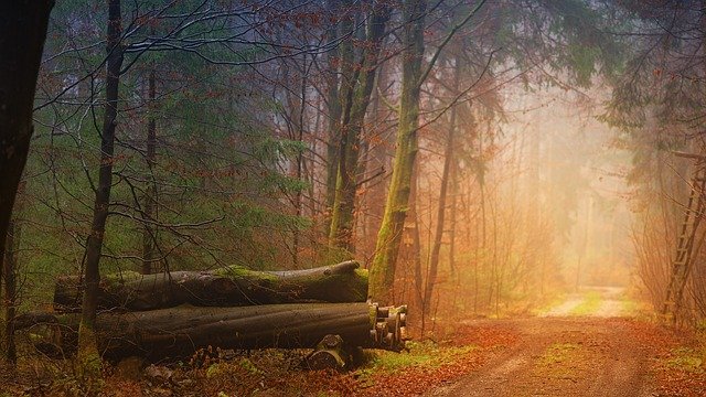 fall g0bce854a6 640