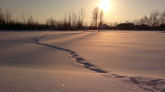 snow gf0e497783 640