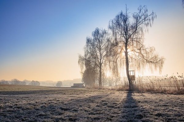 Image by Ulrike Leone from Pixabay