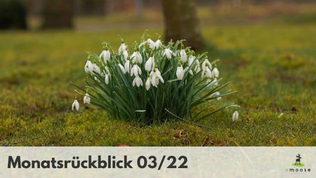 Monatsrückblick 03/22