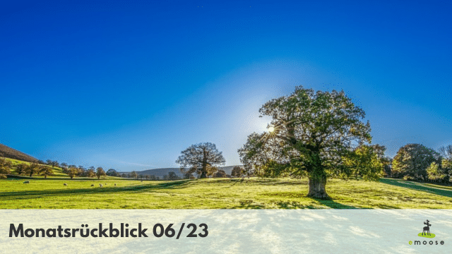 Vorlage Monatsrueckblick 1