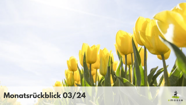 Monatsrueckblick emoose 02 24