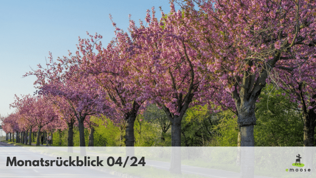 Monatsrückblick 04/24