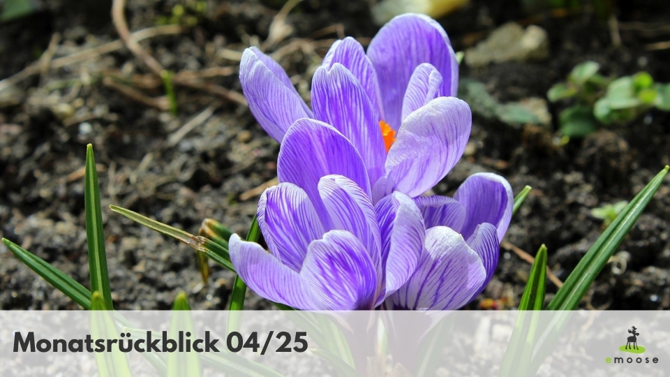 Monatsrueckblick emoose 04 25