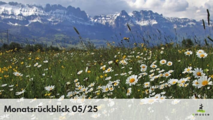 Monatsrückblick emoose 05-25.jpg