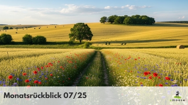 Monatsrueckblick emoose 07 25