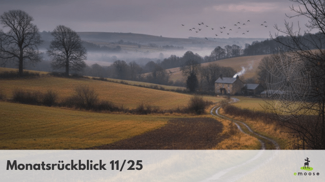 Monatsrueckblick emoose 11 25